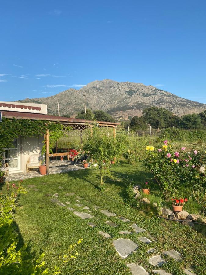 Samothraki - Sea, Mountain, Quiet 빌라 외부 사진